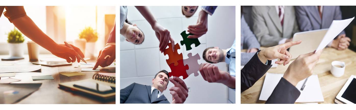 核心优势(图1) 核心优势(图1)